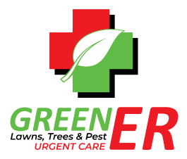 Green ER logo
